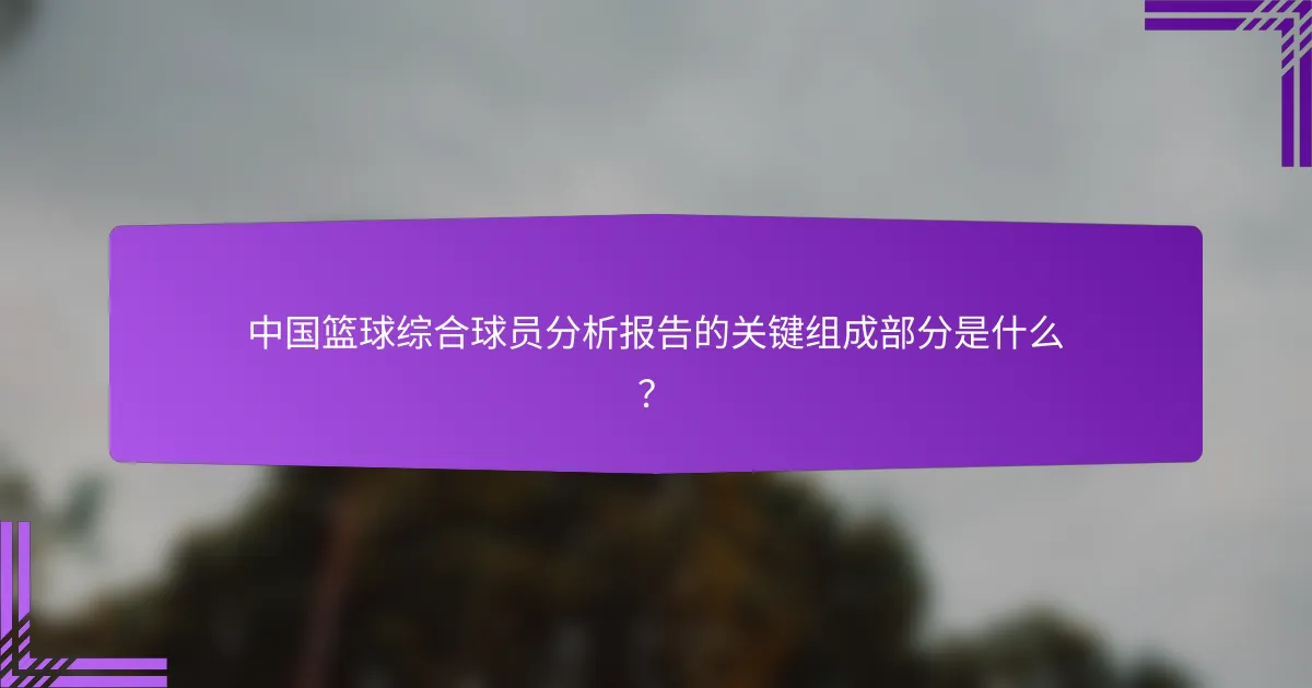 中国篮球综合球员分析报告的关键组成部分是什么？